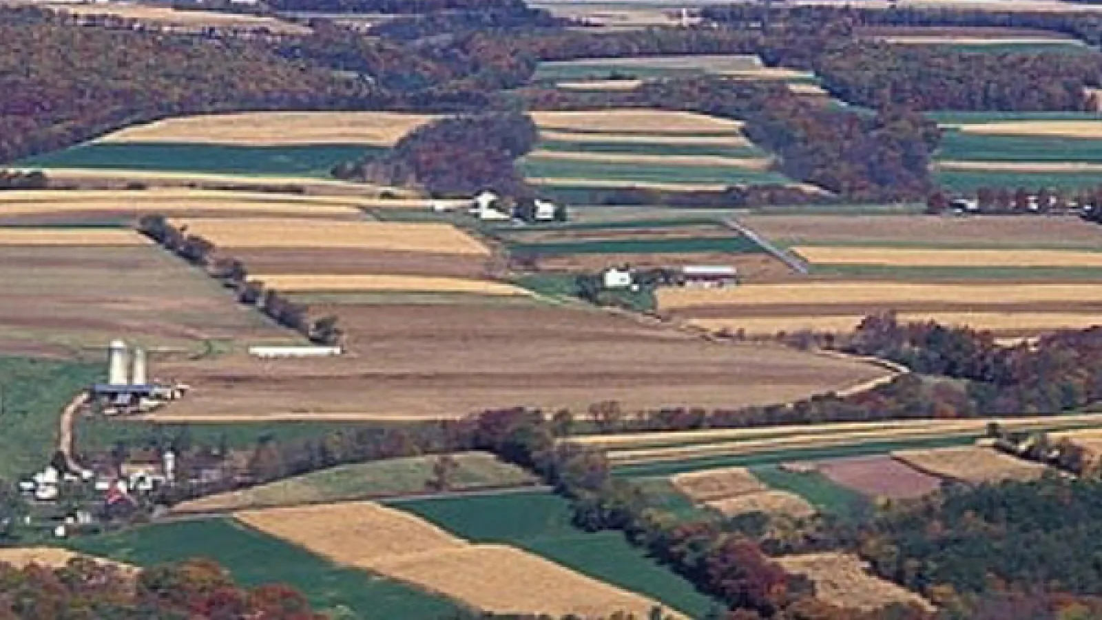 A farm landscape. The fields are a patchwork of green and yellow with trees and buildings lined up in the spaces between the blocky fields.