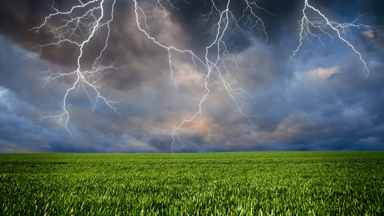Thunderstorm with lightning in field