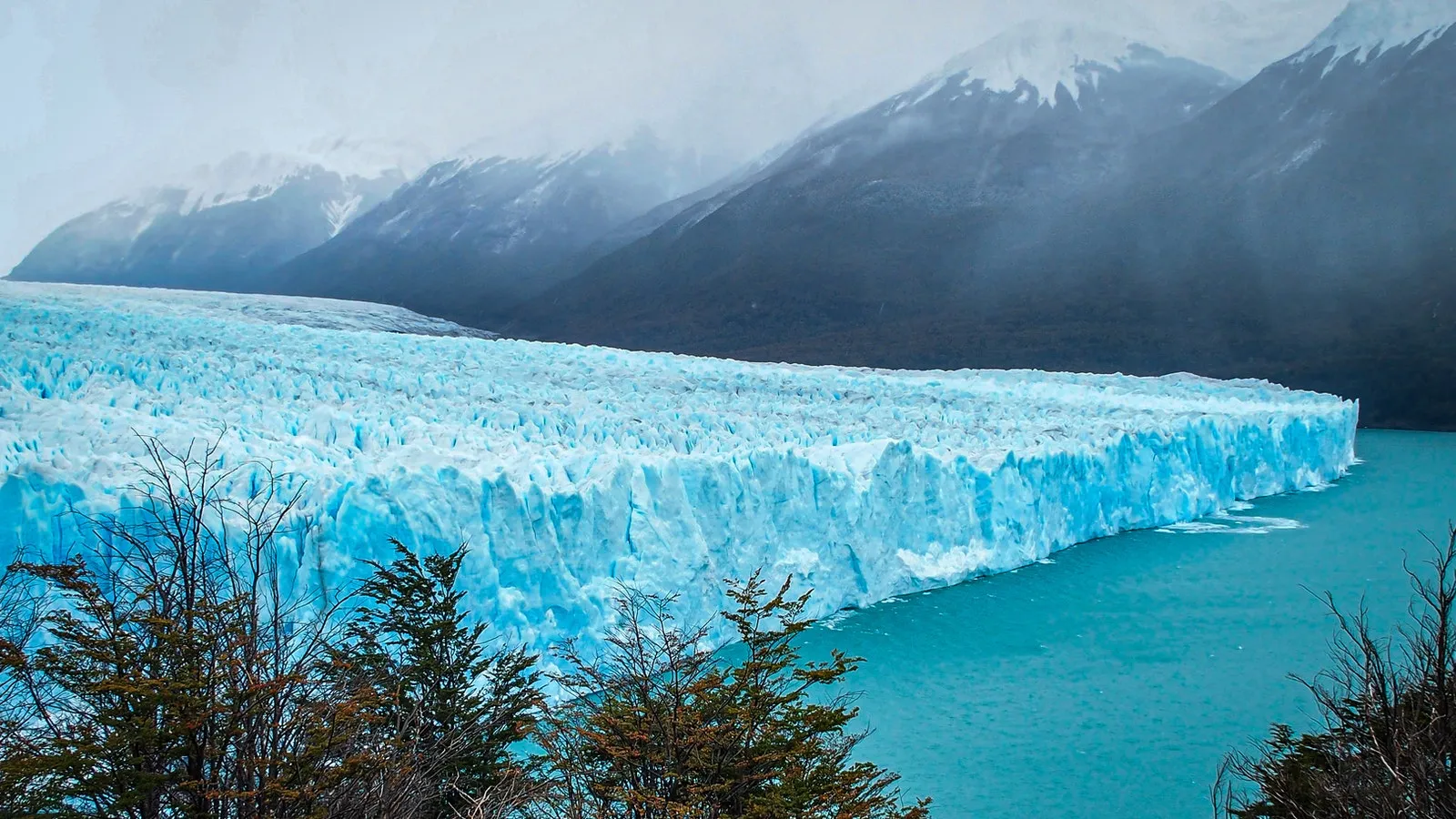 Perito Moeno Glacier with blue water and cloud covered mountain in background and plants in the foreground.