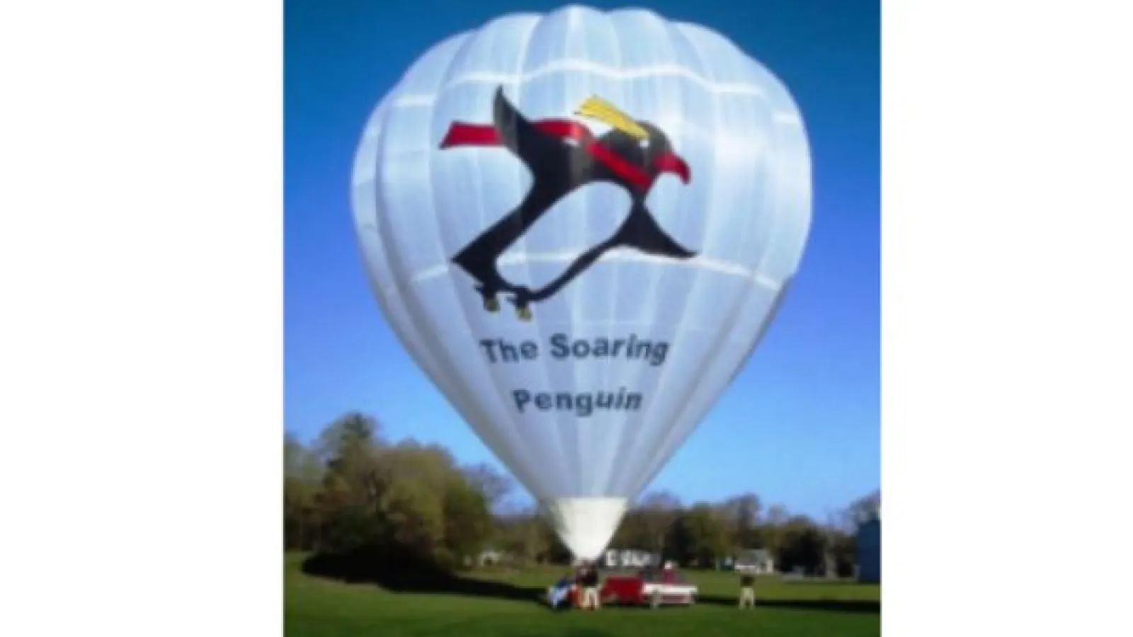 The soaring penguin hot air balloon