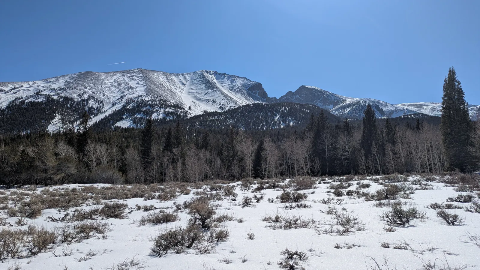 Snow-covered field with patches of grass visible, leading to a dense forest at the foot of the towering, snow-capped Rocky Mountains under a clear blue sky.