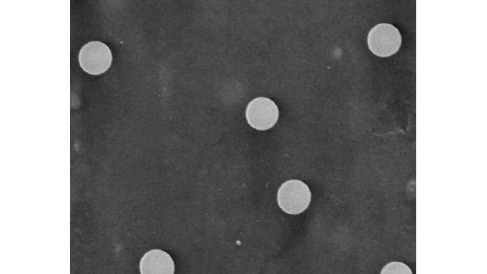 An  engineered spherical SiO₂ microparticle.