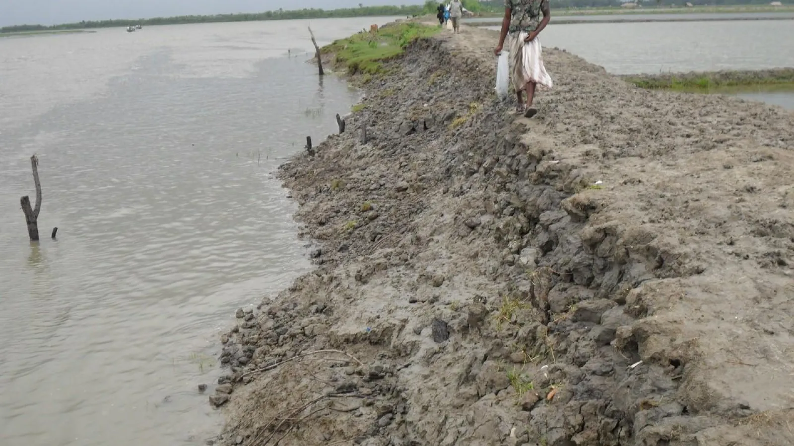 Eroded embankment with a man walking along the river