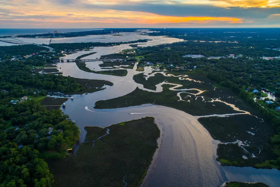 A wide River flows surrounded by vegetation.