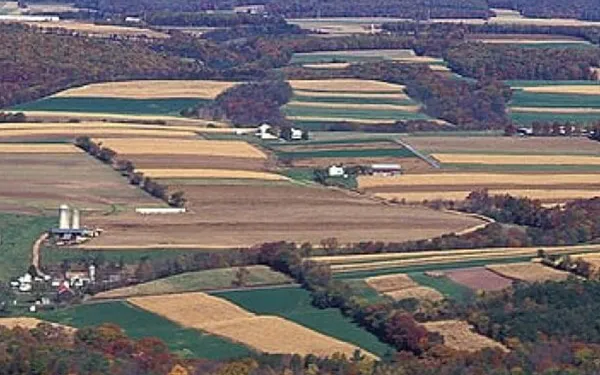 A farm landscape. The fields are a patchwork of green and yellow with trees and buildings lined up in the spaces between the blocky fields.