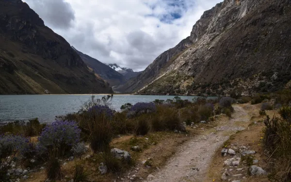 Glacier Environmental Change