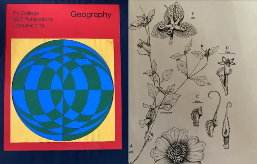 A mock-up geography textbook and several botanical drawings.  The book is red with a yellow square on its front. Inside the square is a large circle with blue and green checkers warped across its surface. The drawings are close-ups of plant structures including measurements for reference.
