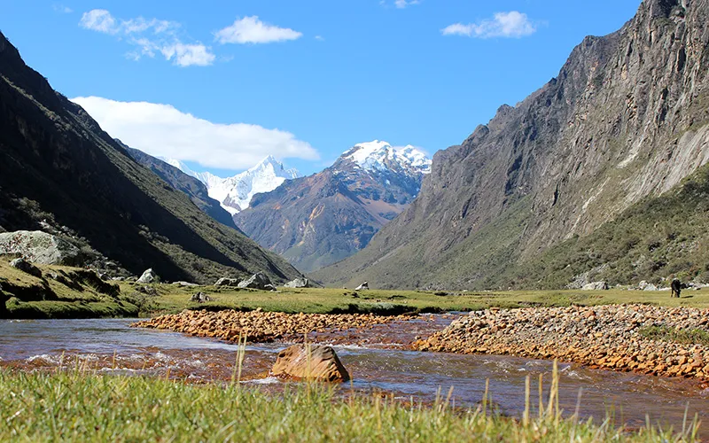 A rocky mountain range that is surrounded by a small stream of water and green grass. The sky is sunny and blue