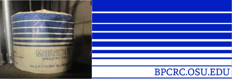 A roll of toilet paper with a dusty, old cover beside the Byrd Center's flag. Both are designed with progressively blue parallel lines on a white background.