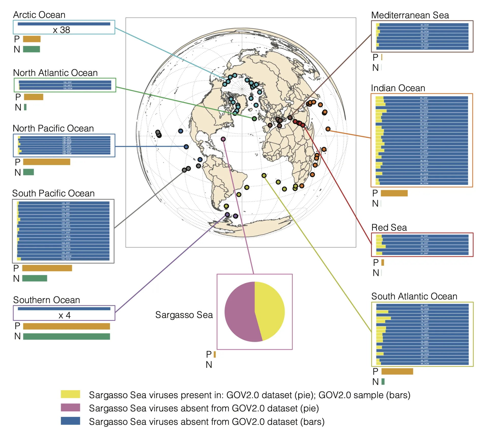 A sphere representing the world with graphical representation of continents and colorful circles in different regions with lines going to different boxes along the margins containing different amounts of yellow and blue colors on the lines. and a pie chart on one line representing Sargasson sea viruses with colors representing present or absence of viruses in the dataset or sample.