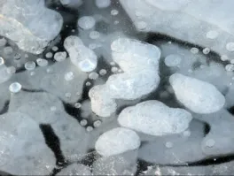 CH4 bubbles trapped in Ice